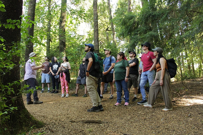 Funcionarios y funcionarias del Centro de Salud Universitario realizaron caminata al bosque en Jornada de Autocuidado