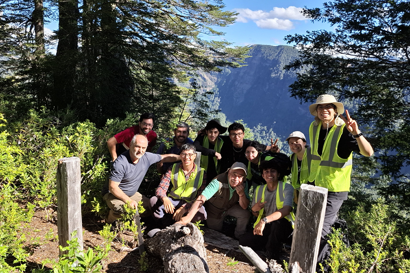 Aprender en terreno: futura generación de ingeniero(a)s forestales se forma en bosques nativos